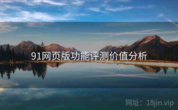 91网页版功能评测价值分析