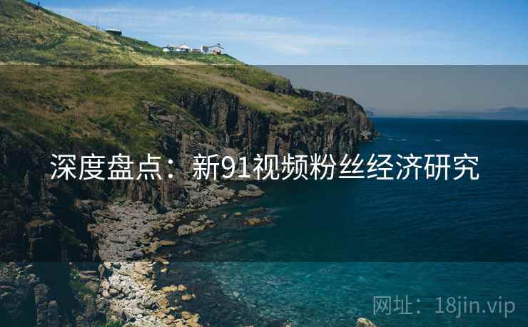深度盘点:新91视频粉丝经济研究