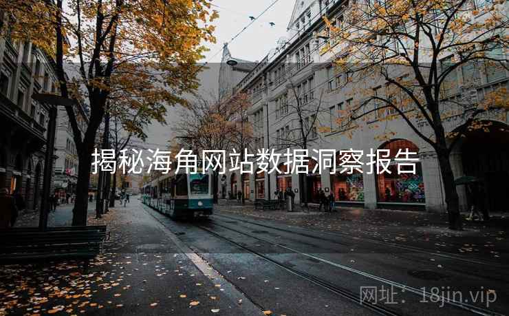 揭秘海角网站数据洞察报告